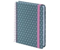Bloknotas AXENT, B6+, langeliais, 120 lapų, 80gsm, su spirale šone, pilkos sp.