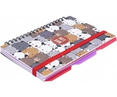 Bloknotas PANDA, Optima, B6, 100 lapų, langeliais, 65gsm, su spirale šone, plastikinis viršelis