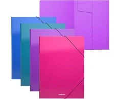 Plastikinis dėklas su guma Matinis VIVID, ErichKrause, A4, 500mkr, 4 sp.