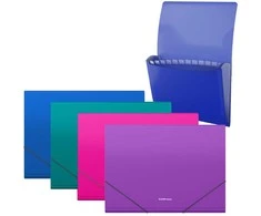 Plastikinis dėklas su skyriais Matinis VIVID, ErichKrause, A4, 700mkr, 12 skyrių, su guma, 4 sp.