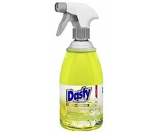 Purškiamas indų ploviklis DASTY Express Dishwashing, 600ml