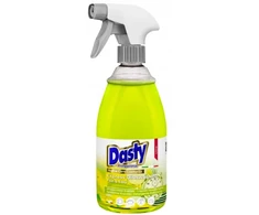 Purškiamas indų ploviklis DASTY Express Dishwashing, 700 ml