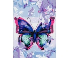 Centrum Rinkinys tapybai ant drobės pagal skaičius BUTTERFLY, 300x400mm