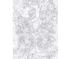 Centrum Rinkinys tapybai ant drobės pagal skaičius BUTTERFLY, 300x400mm