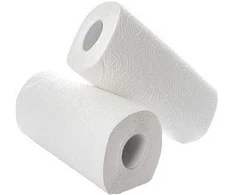 Virtuviniai popieriniai rankšluosčiai PAPERNET Special, rulone, 10m, 2 sl., celiuliozė, 2 rul.