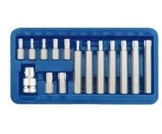 Antgalių rinkinys 15vnt TORX