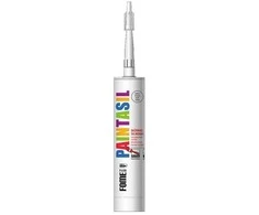 Silikonas dažomas PAINTASIL FOME FLEX 310ml baltas