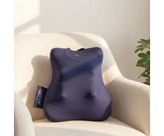 Nugaros masažuoklis FIT2 Pulse ZM-C019