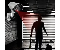Televizorius Kamera Vaizdo stebėjimo kameros muliažas RETOO E057 su LED indikatoriumi, sidabrinė, AA baterijos