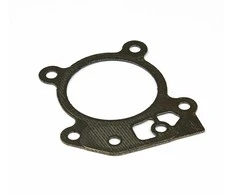 Cilindro galvutės tarpinė Briggs&amp;Stratton 799586; 1 vnt.