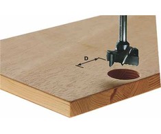 Furnitūros skylių grąžtas Festool; Ø15x54,5 mm