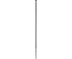 Grąžtas betonui Bosch 2608900243; 25x800x920 mm; SDS-max