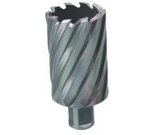 Grežimo karūna Ecef HSS-M2; Weldon; 30x30 mm