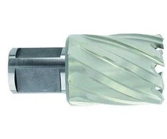 Tivoly Metalo gręžimo freza Ø40X80X50 мм HSS, tvirtinimas Ø19 мм, Weldon