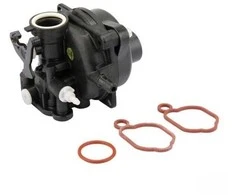 Karbiuratorius Briggs&amp;Stratton 84001029