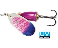 Blue Sukriukė Mėlyna Fox Vibrax UV Bright CSBTU