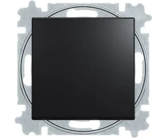 ABB-basic55 1 poliaus jungiklis, matinės juodos spalvos, 10A, 1 modulis, tiekiamas su raktu