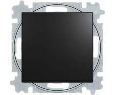 ABB-basic55 1 poliaus jungiklis, matinės juodos spalvos, 10A, 1 modulis, tiekiamas su raktu