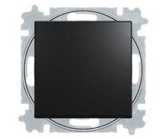 ABB-basic55 1 poliaus mygtukinis jungiklis, N gnybtas, matinės juodos spalvos, 10A, 1 modulis, tiekiamas su raktu
