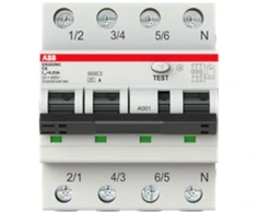 ABB Kombinuota relė C 25/0,03 6kA DS203NC C25 A30 (1 vnt.)