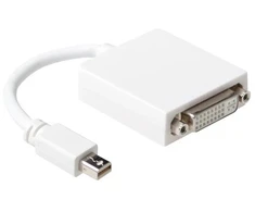 ACT DisplayPort adapteris - 15 cm