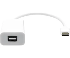 Adapteris USB ProXtend USB-C - miniDisplayPort, baltas (JAB-7158112)
