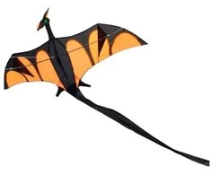 Airow „Dragon XL“ aitvaras vaikams nuo 6 metų, 170 x 90 cm