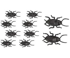 Riethmuller Europe Tarakonai, 10 vnt.