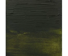 Amsterdam Expert Series Acrylic Tube Olive Žalias 620