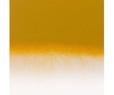 Amsterdam Amsterdam Purškiklis Paint Geltona Ochre 227