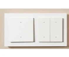 Aqara H2 Išmanus 4 mygtukų 2 kanalų zigbee, Thread jungiklis (WS-K08D)