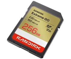 Atminties kortelė SANDISK SD Extreme GO 256GB