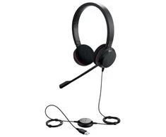 JABRA Evolve 20 USB C/A MS Stereo ausinės