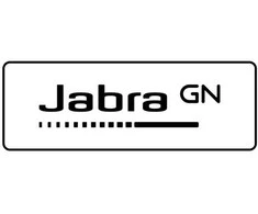 Ausinės JABRA Evolve2 50 USB C/A MS Stereo