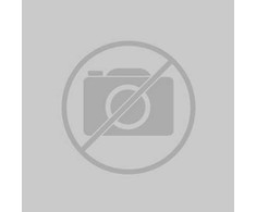 Bernstein Werkzeugfabrik 2-163 Messingdraht-Kontaktreiniger 1 St.
