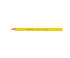 BIC Evolution Triangle - Multi - 12 pc(s)