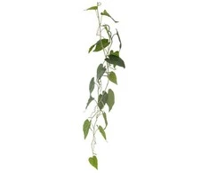 BLOOMINGVILLE Anthurium augalas, žalias, dirbtinės gėlės