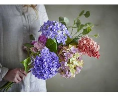 BLOOMINGVILLE Edge puokštė, violetinė, dirbtinės gėlės