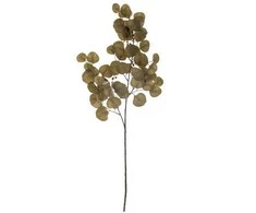 Bloomingville Eukalipto stiebas, rudas, dirbtinės gėlės