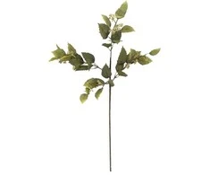 BLOOMINGVILLE eukalipto stiebas, žalias, dirbtinės gėlės