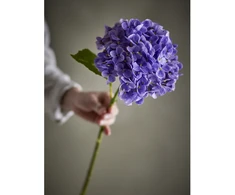 BLOOMINGVILLE hortenzijos stiebas, violetinė, dirbtinės gėlės