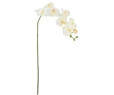 BLOOMINGVILLE orchidėjos stiebas, baltas, dirbtinės gėlės
