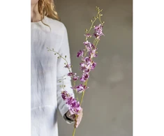 Bloomingville Orchidėjos stiebas, rožinis, dirbtinės gėlės
