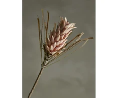 BLOOMINGVILLE palmės stiebas, rožinis, dirbtinės gėlės
