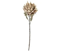 Bloomingville Protea Stiebas, Gamta, Dirbtinės Gėlės