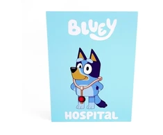 Bluey Rolebook ligoninė