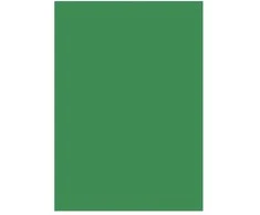 BNTOFFICE Popierius A4 80g 50 lapų, žalias 300x10x210mm 0.37kg (50vnt.) - (50 vnt. pakuotėje)