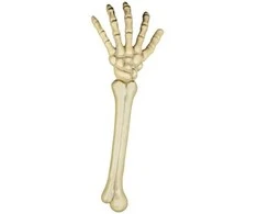 Boland Traciks Skeleto ranka (46cm)