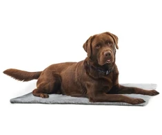 Calibra KRUUSE Vet Bed, Anti-slip, pilkas, 150 x 75 cm