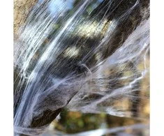 Ciao - Spider Web w/25 Spiders (30323)